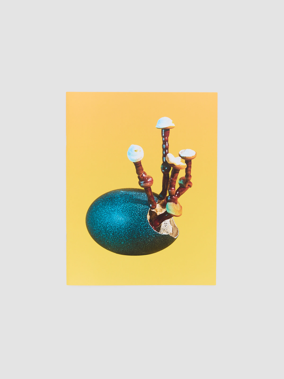 Mushrooms and Friends Zine 4